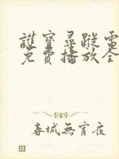 护宝寻踪电视剧免费播放全集完整版