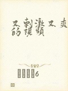 又刺激又爽又黄的视频