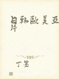 日韩欧美亚洲爽片