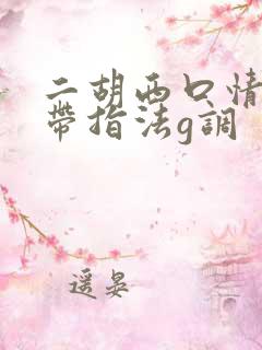 二胡西口情简谱带指法g调