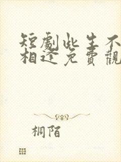 短剧此生不如不相逢免费观看