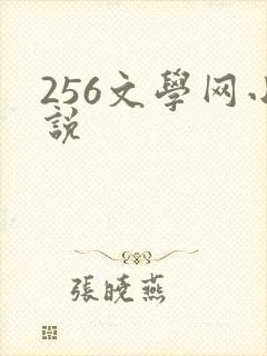 256文学网小说