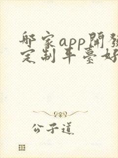 哪家app开发定制平台好