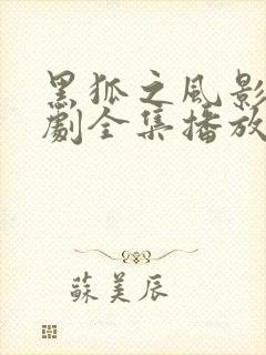 黑狐之风影电视剧全集播放