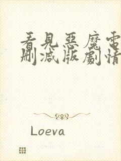 看见恶魔电影未删减版剧情介绍