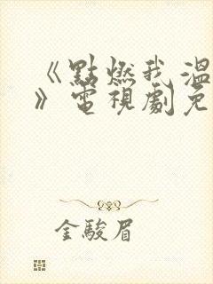 《点燃我温暖你》电视剧免费观看