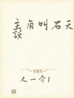 主角叫石天的小说