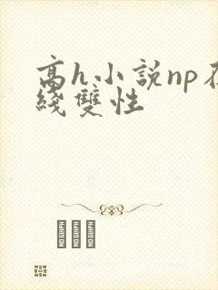 高h小说np在线双性