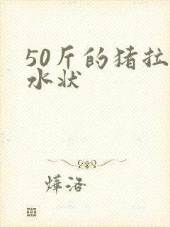 50斤的猪拉稀水状