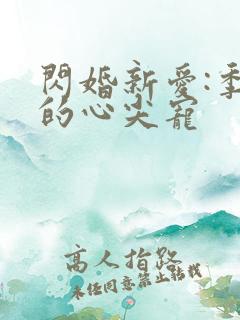 闪婚新爱:季少的心尖宠