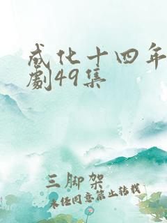 成化十四年电视剧49集