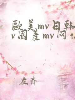 欧美mv日韩mv国产mv网站
