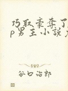 巧取豪夺了无cp男主小说免费阅读