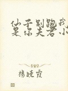 仙子别跑我真的是你夫君小说