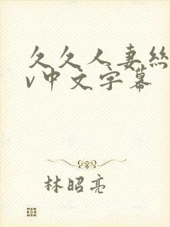 久久人妻丝袜av中文字幕