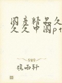 国产精品久久久久久中国p站