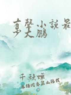 有声小说最强弃少大鹏