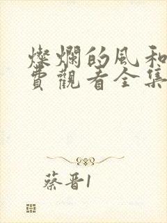 灿烂的风和海免费观看全集电视剧