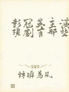 彭冠英主演的电视剧有哪些