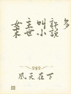 女主叫许多多的末世小说