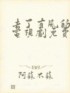 去了有风的地方电视剧免费观看