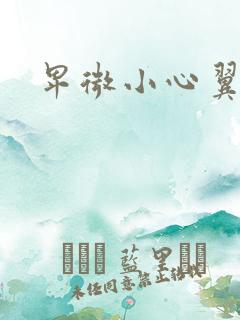 卑微小心翼翼攻