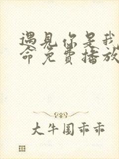 遇见你是我的宿命免费播放