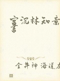 宫沉林知意电子书