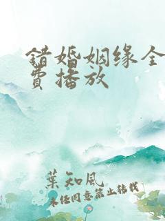 错婚姻缘全集免费播放