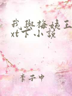 我与梅姨王琴txt下小说