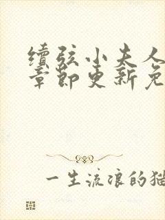 续弦小夫人最新章节更新免费阅读