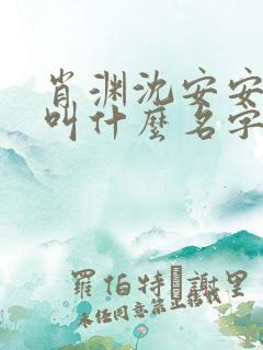 肖渊沈安安小说叫什么名字