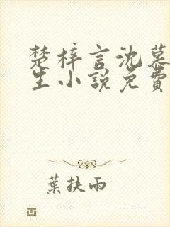 楚梓言沈慕寒重生小说免费阅读