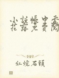 小说帐中香金银花露免费阅读