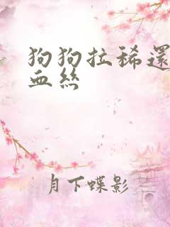 狗狗拉稀还带点血丝