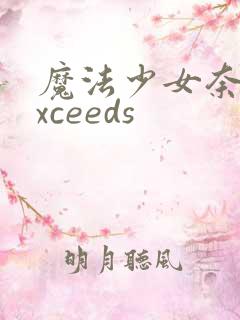 魔法少女奈叶exceeds