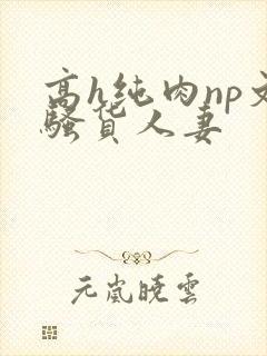 高h纯肉np文骚货人妻