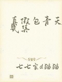 真假包青天是第几集