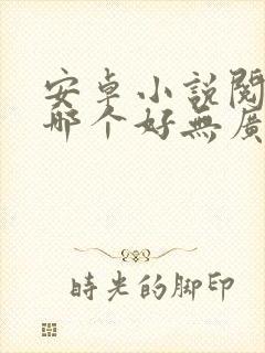 安卓小说阅读器哪个好无广告