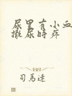 尿里有小血块并撒尿时疼