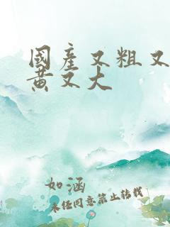 国产又粗又爽又黄又大