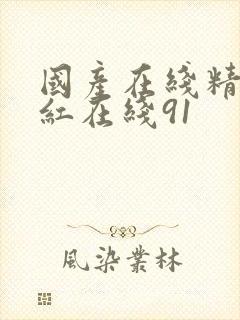 国产在线精品网红在线91