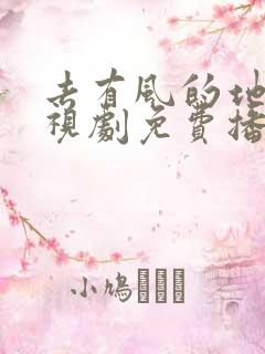 去有风的地方电视剧免费播放观看