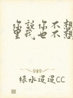 你说你不想在这里我也不想在这里歌词