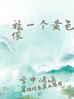 放一个黄色的录像