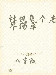 林枫几个老婆万界独尊