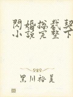 闪婚总裁契约妻小说完整下载