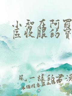 小智在阿罗拉地区收服的宝可梦