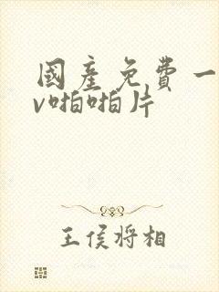 国产免费一级av啪啪片