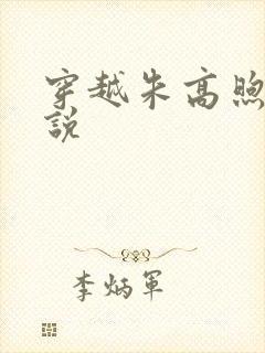 穿越朱高煦的小说